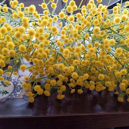 10 stk Baby's Breath kunstig falske blomsterbukett Gypsophila Bulk Flower i hvitt til bryllupskrone Hjemmefest Hagedekorasjon Gul