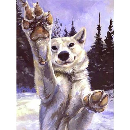 30x40cm, hvalp 5d diamantmalet rhinestones broderi lærred(1)