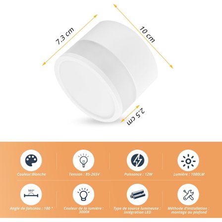 LED Overflademonteret Loftspotlight IP65 Loftlampe 12W 3000K Varm Hvid Aluminium Spotlights 1080LM til Badeværelse Entré Køkken Ø10cm