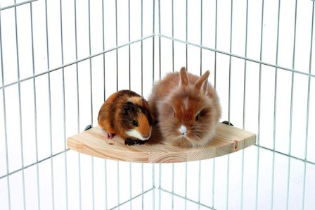 Hylleplate i Tre - 22x22cm