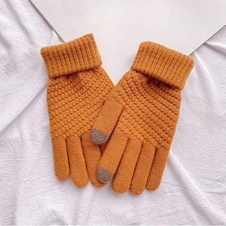 Et par dame vinter plus fløjl dobbelt lag ride kolde touch screen plys varme handsker, 4 farver at vælge imellem, cu [DB]