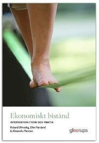 Ekonomiskt bistånd – intervention i teori och praktik