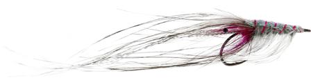 Pattegris Grey Shellback Ahrex NS156 #6