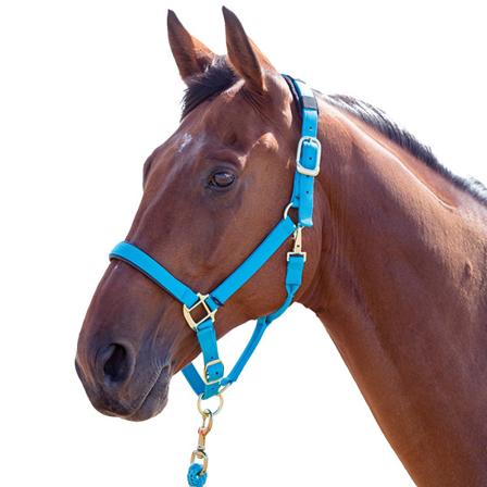Shires Topaz Nylon Hästhuvudhalsband Liten Ponnyblå