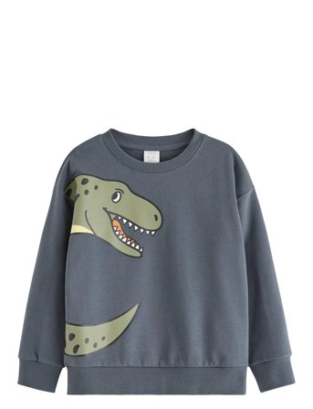 Lindex Sweatshirt Dino Placement - Grey - 116