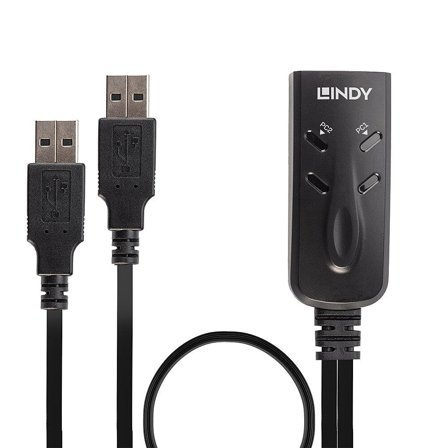 Lindy 2 Port USB KM Switch - tastatur/mus-switch - 2 porter