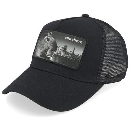 Kinder Kiddo Cap - Schwarz trucker Cap - Kinder Capybara Black A-frame Trucker @ Hatstore