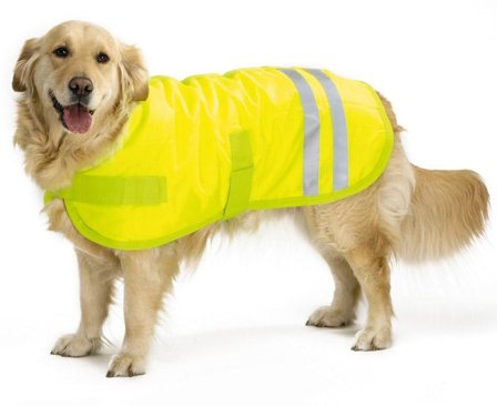 Fôret Refleksdekken til Hund - 30cm