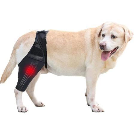 Hundknäskydd Hundbensskydd för trasig Acl Bakben Hundhöftstödsskydd, Justerbara bakbensstöd för hundar, Knäskydd för husdjur S