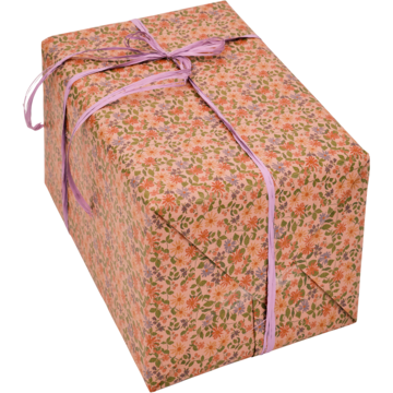 Presentpapper Agnes Soft Clay