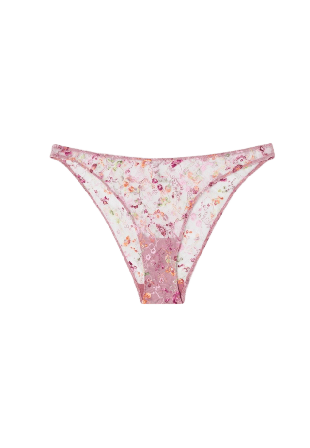 Understatement Mesh Bikini Briefs Trosor Dam Rosa L