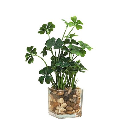 Glassflaske Firekløver Eviggrønn Simulering Grønn Plante Pottet Dekorasjon Hjem Dekorasjon Skrivebord Dekorasjon