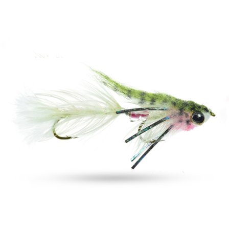 Umpqua Baby Gonga Rainbow #8