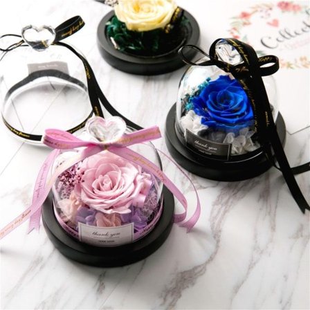 IC Kaunotar ja peto konservoitu Ystävänpäivälahja eksklusiivinen