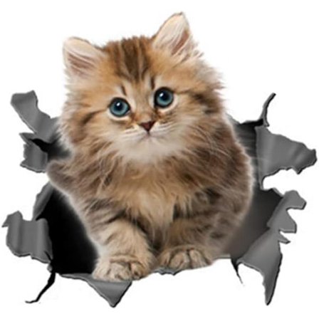 3D katte klistermærke sød kat dekorativt klistermærke kat klistermærke dyretema