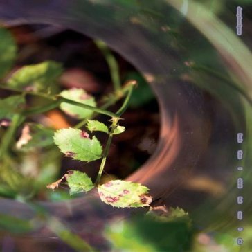 Back then i didn't but now i do JONNY FROM SPACE