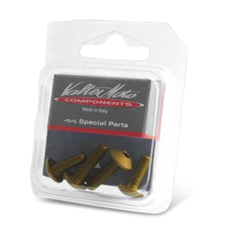 Skruesæt til Vindskærm Valter Moto - Kawasaki Ninja 300 ABS 2013-2016