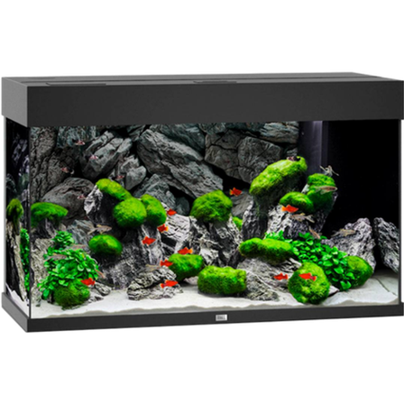 Juwel - Rio 125 LED svart akvarium - Akvaristikk - Akvarium & møbler - Akvarium - ZOO.no