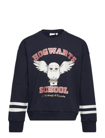 Nkfsaselina Harrypotter Sweat Bru Wab Navy Name It