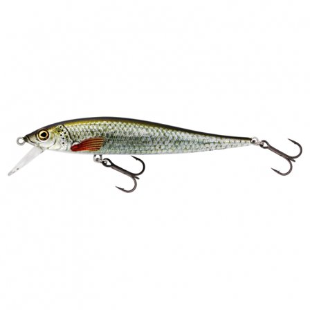 Westin Jerkbite SR Jerkbait 9cm 8g Suspending - Real Roach
