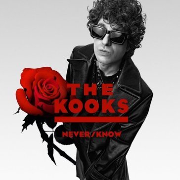 Never, know (vinyl white) The Kooks