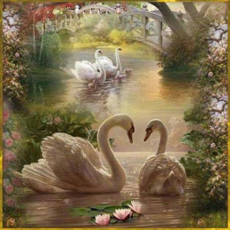 Full 5d Diy Diamond Painting Cross Stitch Swan Love Mosaic Brode Som På Bilden 1 30x30cm