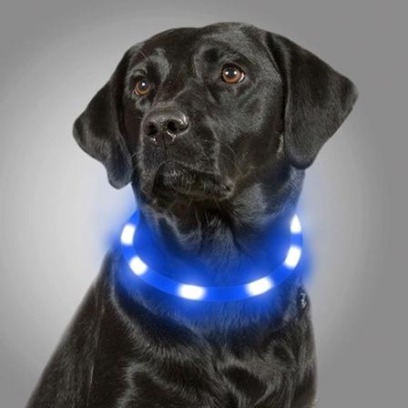 LED-valaistu koiranpanta, valaiseva koiranpanta, yöturvallisuus, USB-ladattava panta pienille, keskisuurille ja suurille koirille sininen