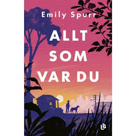 Allt som var du (inbunden)