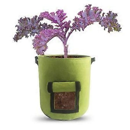 Perunanistutuskassi Kuitukangasta Paksuntava Kasvukassi Istutuskassi