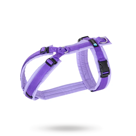 Anny-X - Anny-X Fun Hundsele Lavender