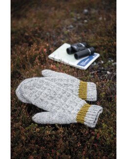 Handschuhe Gletscher