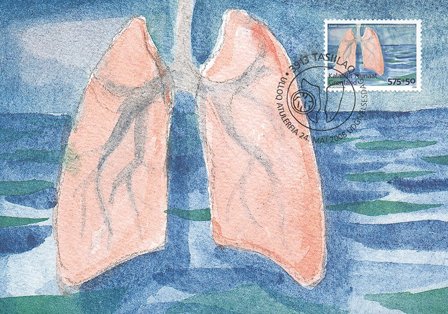 Grønland - Anti-Tuberkulose - Maximumskort