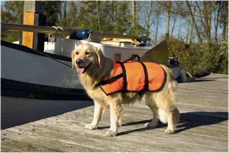 Redningsvest S Beeztees 7-9Kg -Hund