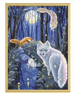 Stickpackung Bild Mitternacht