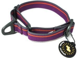 OllyDog Martingale Mesa Collar Wild Aster