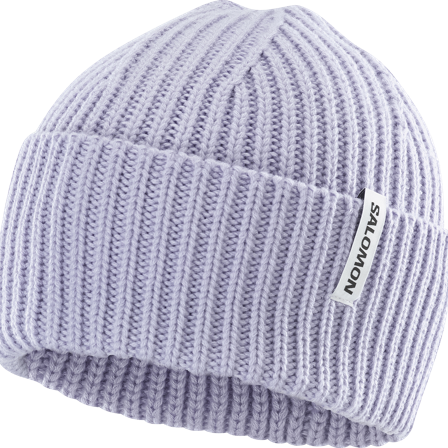 Salomon - Nakrycia głowy Czapki i kapelusze Snowbird Beanie U - Cosmic SKY