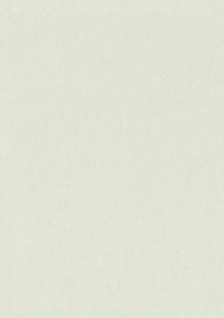 Duro Tapet, Qvintus 220-07 Flora, L, Ljusgröngrå, Färg & tapeter