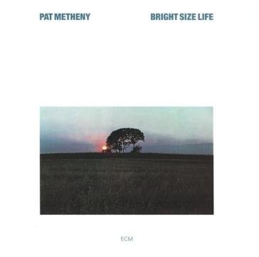 Bright size life Pat Metheny