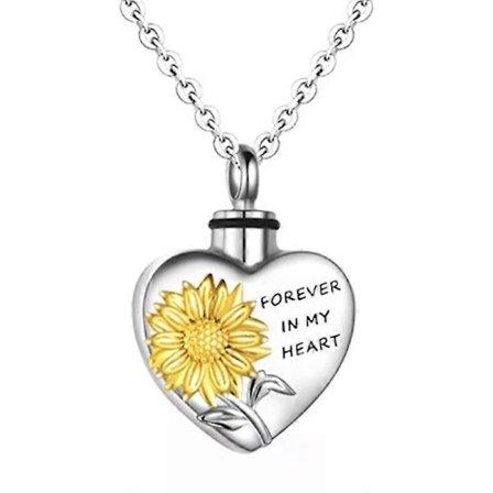 Hjerte Aske Medaljon, Memorial Smykker Kremering Boks med Hjerte Charm til Daglig Brug