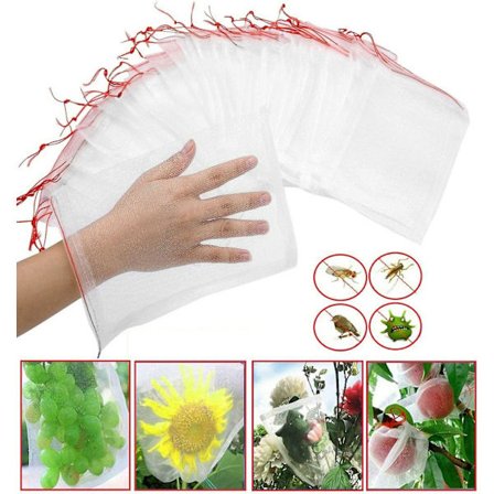 30 stk drueklasebeskyttelsesposer, farge: grønn, med snøring, gir full beskyttelse mot veps, .10cm*15cm.white