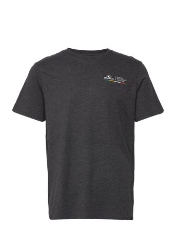 Snsc Box T-Shirt T-shirt Grå O'neill
