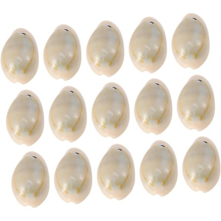 Konkylie Anheng Skjell for Håndverk Perlekjede Naturlige Skjell