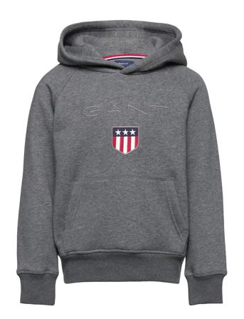 Gant Shield Hoodie Hettegenser Genser Grå GANT