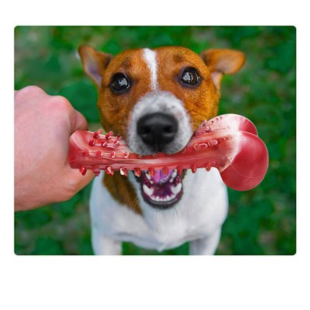 1 st Hundben Leksak, Hundtugg Tandborste, Bitresistent Gummi