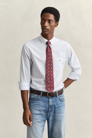 GANT Herren Classic Popeline-Hemd mit Streifen (4XL) Hellblau