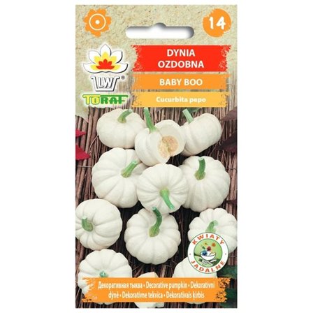 Siemenet koristekurpitsalle Baby Boo - Koristeellinen ja syötävä minikurpitsa