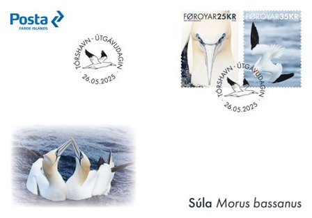 Færøerne - Fugle sule - Førstedagskuvert