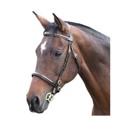 Blenheim Fancy Stitch Läderhäst Inhand Bridle Full Black