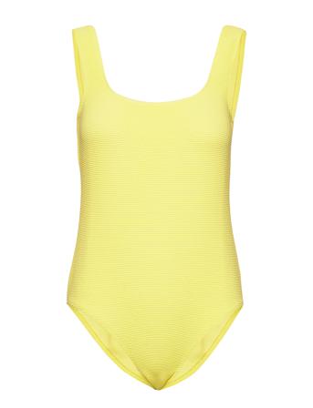2Nd Belladonna Yellow 2NDDAY