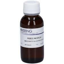 Ribes Nigrum Gemme 60 ml